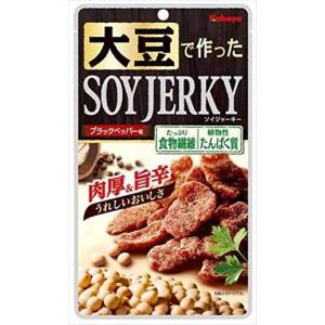 カバヤ ソイジャーキー 45g ×6袋 ネコポス