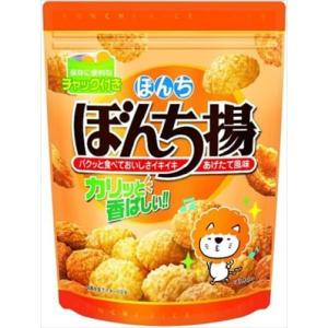 送料無料 ぼんち ぼんち揚チャック付 100g×12袋