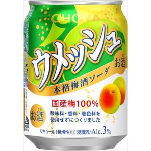 チョーヤ ウメッシュ 本格梅酒ソーダ 250ml×24本 CS