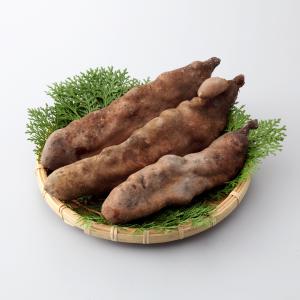 幻の山芋 やまのいも銀沫 ぎんしぶき 強い粘り ...の商品画像