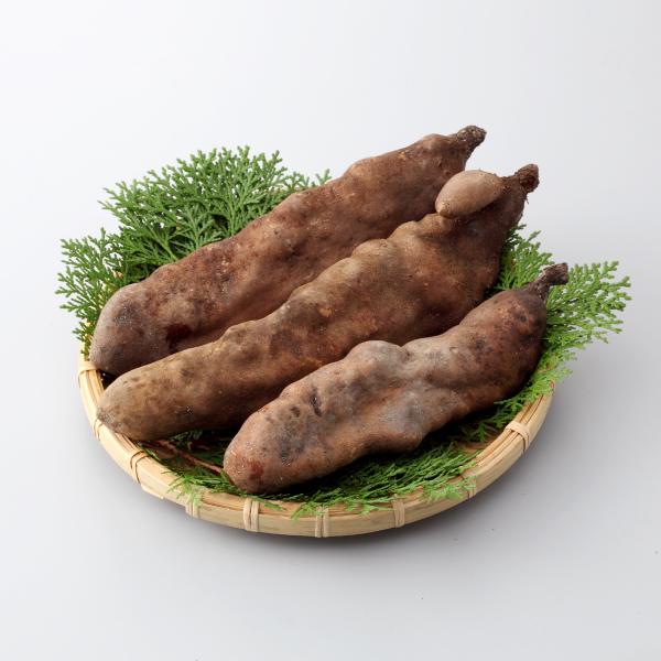 幻の山芋 やまのいも銀沫 ぎんしぶき 強い粘り ヤマノイモ 秀品 岡山真庭市勝山特産 3〜4個約1k...