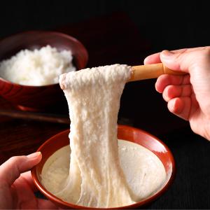 幻の山芋 やまのいも銀沫 ぎんしぶき 強い粘り...の詳細画像3