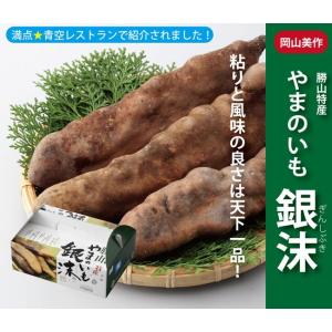 幻の山芋 やまのいも銀沫 ぎんしぶき 強い粘り...の詳細画像5
