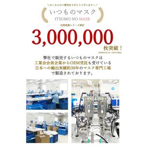 黒マスク 不織布 大きめ マスク 平ゴム 使い...の詳細画像1