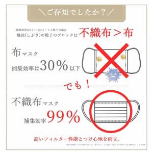 黒マスク 不織布 大きめ マスク 平ゴム 使い...の詳細画像2