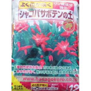 花ごころ　シャコバサボテンの土　12リットル　専用培養土