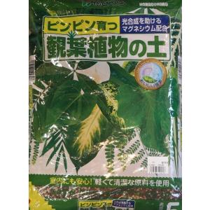 花ごころ　観葉植物の土　5リットル