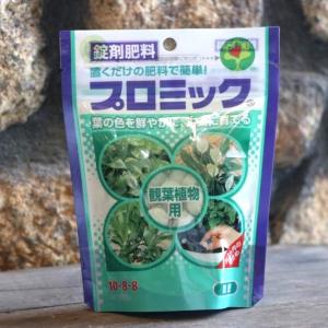 ハイポネックス 錠剤肥料 観葉植物用の商品一覧 通販 Yahoo ショッピング