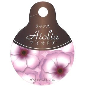 送料無料・12Pセット】ビオラ オレンジ 9センチポット 3号 花苗セット