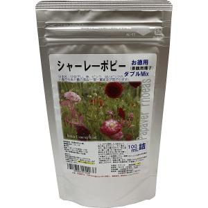 福花園種苗 西洋芝種子 バミューダグラス『リオ』 1L詰 芝生 芝 福花園