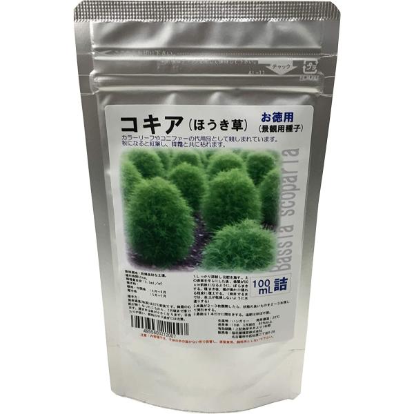 福花園種苗 コキア・スコパリア 種子(景観用) 100ml詰 コキア 福花園 種子 種 たね 景観 ...