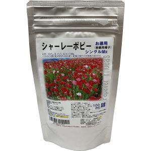 福花園種苗 西洋芝種子 バミューダグラス 皮取種(普通種) 1L詰 芝生 芝