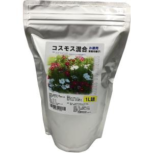 福花園種苗 西洋芝種子 バミューダグラス 皮取種(普通種) 1L詰 芝生 芝