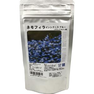 福花園種苗 ネモフィラ 種子 景観用インシグニス...の商品画像
