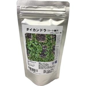 福花園種苗 西洋芝種子 バミューダグラス 皮取種(普通種) 1L詰 芝生 芝