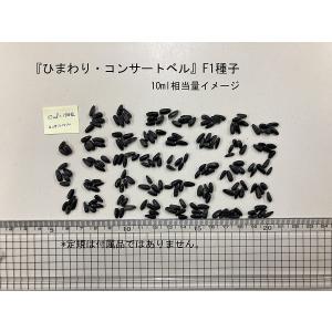 福花園種苗 ひまわり コンサートベル 種子10...の詳細画像2