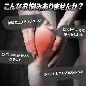 膝サポーター 高齢者 スポーツ 医療用 バネ ...の詳細画像4