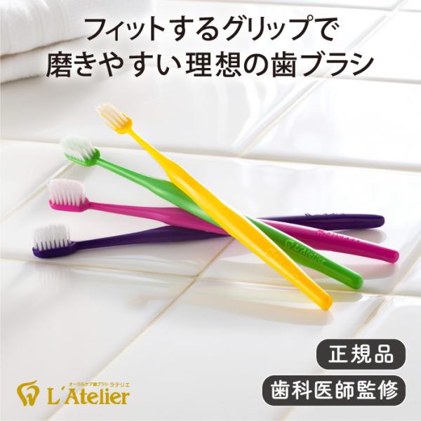 歯ブラシ L'Atelier ラテリエ《メール便可 12個まで》
