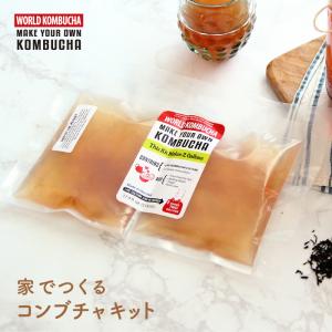 消費期限2023-11-11《メール便限定 1個まで》クリアランス コンブチャ スコビーワールドコンブチャ 培養 スターターキット スコビー2個セット  ※返品・交換不可