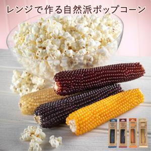 ZaraMama ザラママ ポップアコブ ポップコーン Popcorn ※返品・交換不可