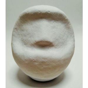 無地だるま 顔化粧あり 7号 24cm 顔まで仕上げてある 教材用だるま 白