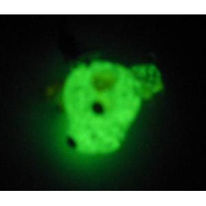 蓄光ガラス ストラップ イヌA 蓄光 夜光 光...の詳細画像2