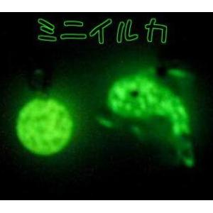 蓄光ガラス ストラップ Wイルカ 蓄光 夜光 光...の商品画像