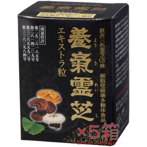 鬼安断言 新 養気霊芝エキストラ粒×５個 日本栽培製品 献上品の直井霊芝ＧＹ株使用 MADE In JAPAN｜gpt