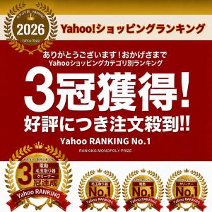 毛玉取り器 電動 毛玉取り機 毛玉取りクリーナ...の詳細画像2