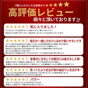 毛玉取り器 電動 毛玉取り機 毛玉取りクリーナ...の詳細画像3