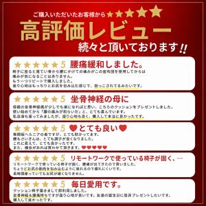 クッション 椅子 腰痛 座布団 骨盤矯正 腰痛...の詳細画像3