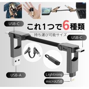 6in1 充電ケーブル  chafon 充電器 ライトニングケーブル  iphoneケーブル  type-c ケーブル usbケーブル タイプc ケーブル タイプc  変換アダプタ｜grace-deco