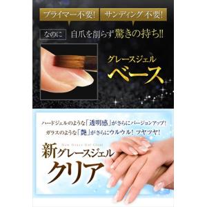 HEMAフリー フィルインベース グレースジェ...の詳細画像1