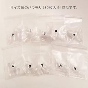 【在庫限り】【ゆうパケット対象商品】フレキシブ...の詳細画像1