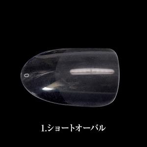 ●ゆうパケット不可●エクステンションネイル イ...の詳細画像1