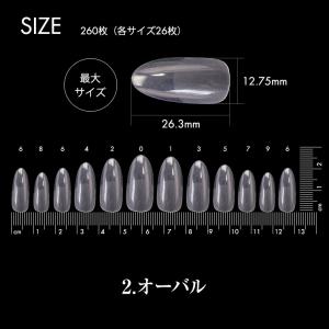 ●ゆうパケット不可●エクステンションネイル イ...の詳細画像4