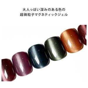 【在庫限り】微粒子マグの上品カラー マグジェル...の詳細画像1