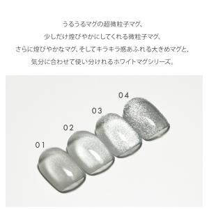 超微粒子から大きめサイズのクリアマグネットネイ...の詳細画像2