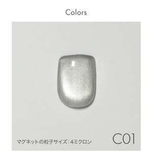 超微粒子から大きめサイズのクリアマグネットネイ...の詳細画像4