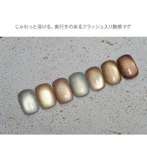 じゅわっと溶け込む艶めきマグ マグジェル うる...の詳細画像1