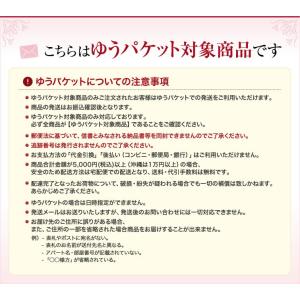 【在庫限り】【ゆうパケット対象商品】ミラーパウ...の詳細画像2