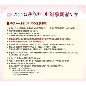 【ゆうパケット対象商品】※順次グレーに変更※ス...の詳細画像1