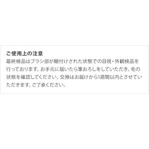 グラデーションが簡単 日本製 ポトラジェルブラシの詳細画像5