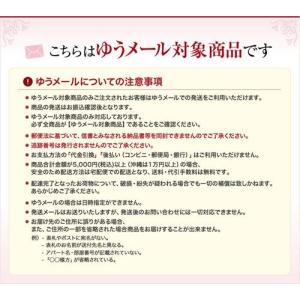 【ゆうパケット対象商品】 ネイルアートシェルネ...の詳細画像2