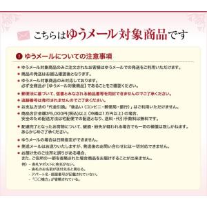 【在庫限り】【ゆうパケット対象商品】スタンピン...の詳細画像2
