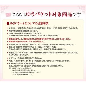 【在庫限り】【ゆうパケット対象商品】美しい輝き...の詳細画像2