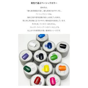 HEMAフリーTPOフリー 発色抜群で塗りやす...の詳細画像3