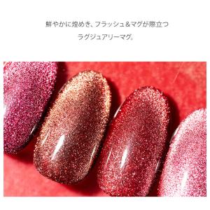 【ANF】マグネットネイル レッド系フラッシュ...の詳細画像3