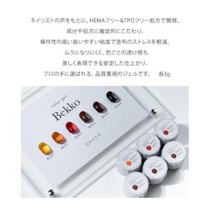 HEMAフリーTPOフリー どんな鼈甲デザイン...の詳細画像1