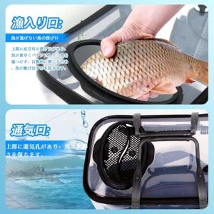 釣り バケツ 透明 35CM 魚が一目瞭然 釣...の詳細画像2